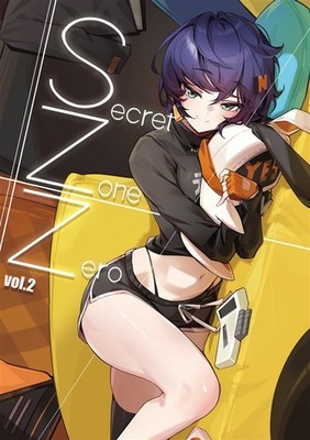 Secret Zone Zero vol.2 Zenless Zone Zero Art Book Goomrrat Doujinshi C107 B5/24P