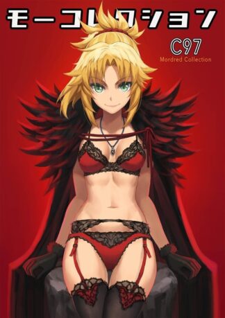 Doujinshi Mordred Collection Fate/Grand Order FGO TYPE-MOON Art Book A4 32P