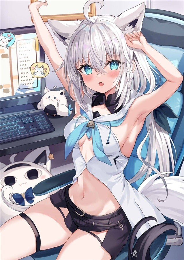 Doujinshi Hololive Illustration ArtBook " SUKOFANBOOK3 " Shirakami Fubuki A4 24P - Image 6