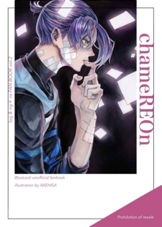 Blue Lock BL Doujinshi (Nagi, Mikage) Art Book chameREOn A5/P24