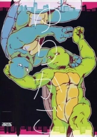 Teenage Mutant Ninja Turtles BL doujinshi ( Raphael x Leonardo ) YURIKAGO 44p