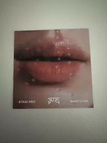 StrayKids Bangchan Ate Accordion Lip Photo Card Lips Kpop