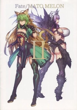 Fate/Mato Melon 2 Fate/Grand Order Art Book melon22 A4 16P Doujinshi