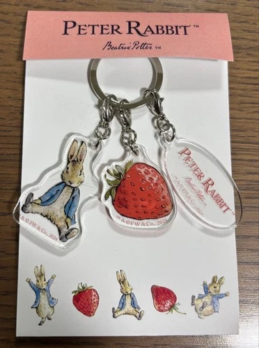 Peter Rabbit Acrylic Keychain with Shipping Included