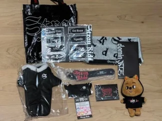 Stray Kids dominATE Tour Apgre Bonus Hank Okka Set