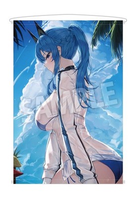 #Helm: Aquamarine (Jhk) B2W Suede Tapestry Goddess of Victory: NIKKE 40x29in PSL