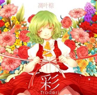 Doujin Music CD Aya Touhou Project Arrange by RD-Sounds