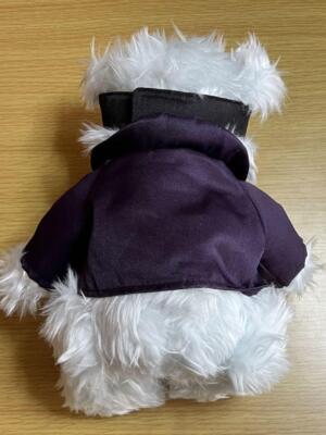 Jujutsu Kaisen Juju Bear Plush Toy Gojo Satoru ver. Teddy bear Japan - Image 2