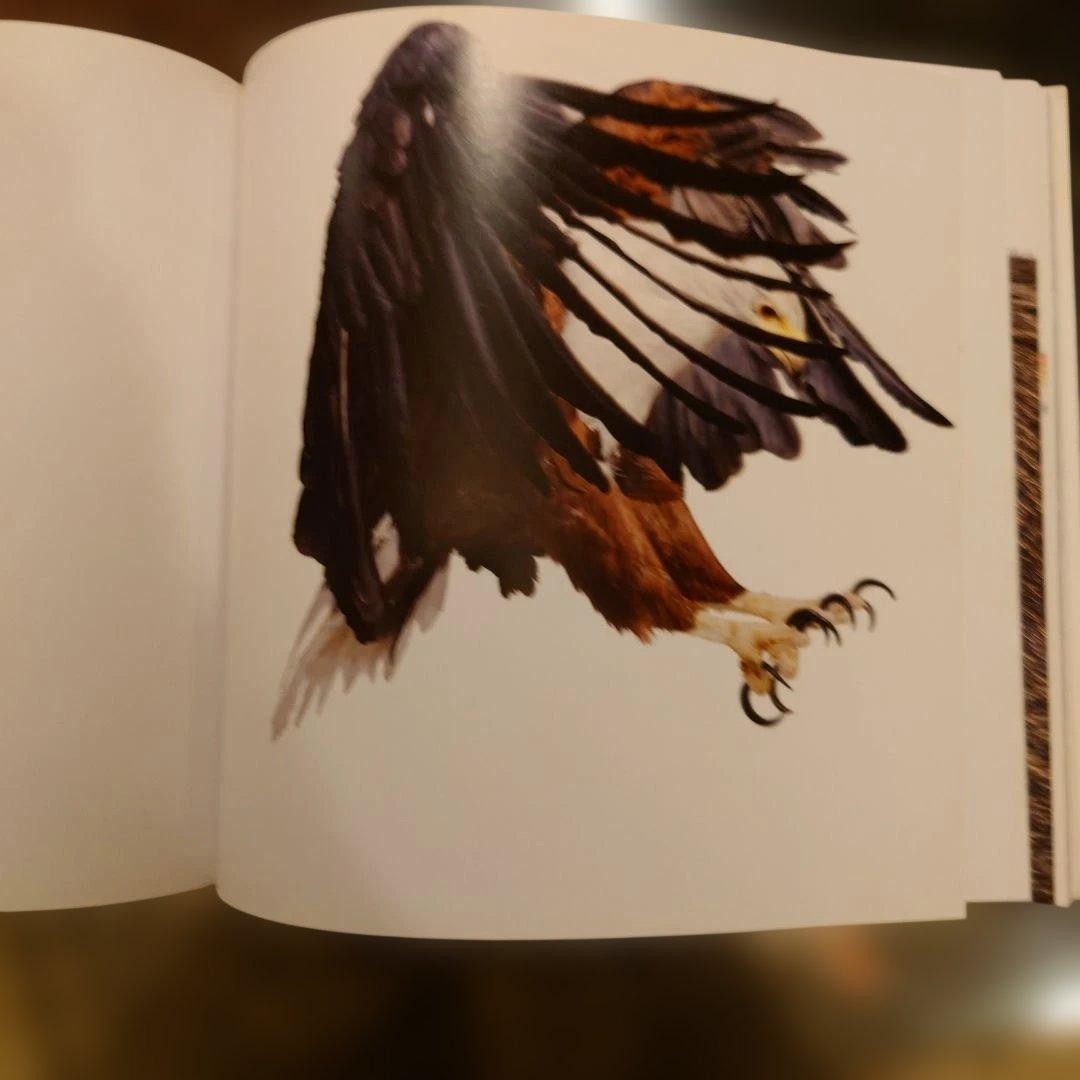 Creature by Andrew Zuckerman - Image 2