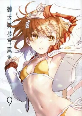MIKOTO MISAKA PHOTOGRAPHS 9 raika9 Chillin Party Art Book Illustration