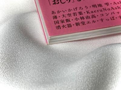 Hip Illustration Art Book Shiridarake Japan Various Artists Japanese Book - Image 4