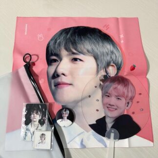 Exo Baekhyun Slogan Fan