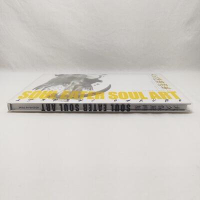Atsushi Ohkubo Art Book Soul Eater Soul Art Illustration - Image 3