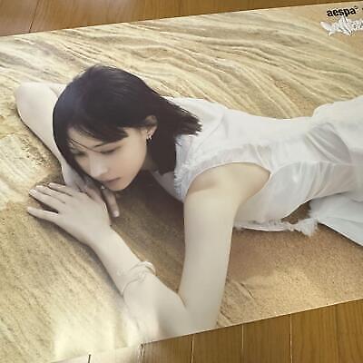 aespa Winter My World Poster Kpop