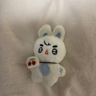 SEVENTEEN S.Coups doll