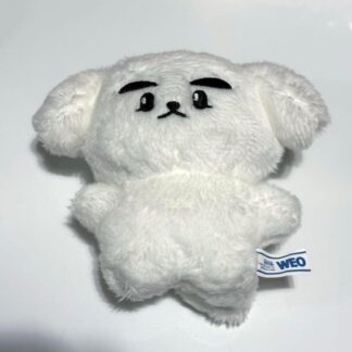 Xiaojun 10cm Plush Doll WayV